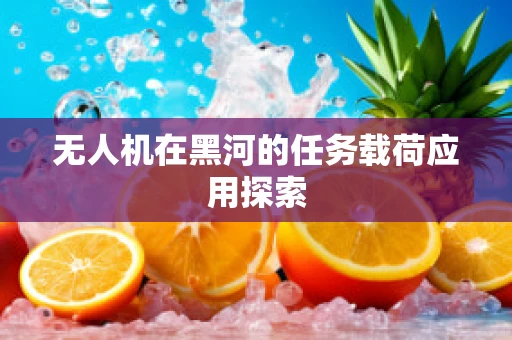 无人机在黑河的任务载荷应用探索