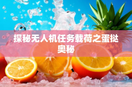 探秘无人机任务载荷之蛋挞奥秘
