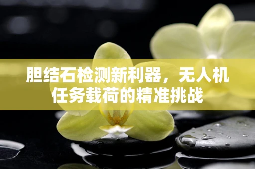 胆结石检测新利器，无人机任务载荷的精准挑战