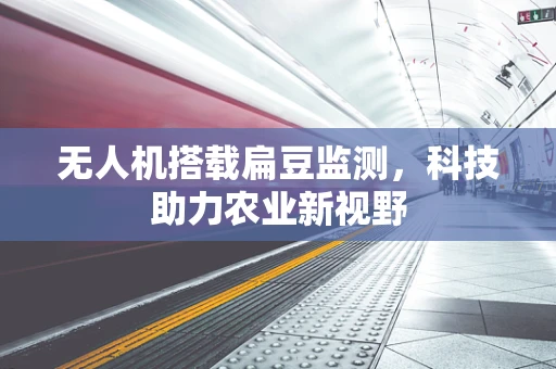无人机搭载扁豆监测，科技助力农业新视野