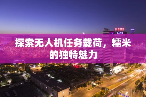 探索无人机任务载荷，糯米的独特魅力