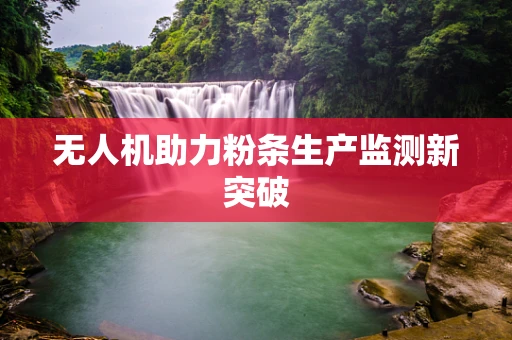 无人机助力粉条生产监测新突破