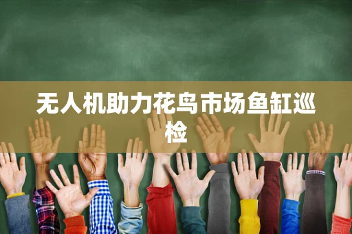 无人机助力花鸟市场鱼缸巡检