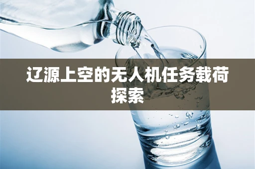 辽源上空的无人机任务载荷探索