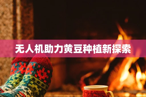 无人机助力黄豆种植新探索