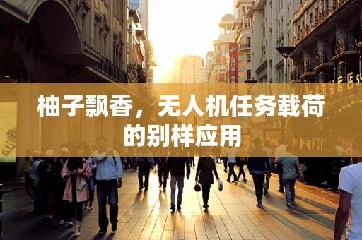 柚子飘香，无人机任务载荷的别样应用