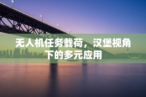 无人机任务载荷，汉堡视角下的多元应用