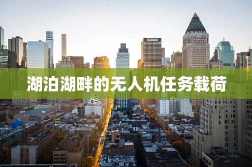 湖泊湖畔的无人机任务载荷