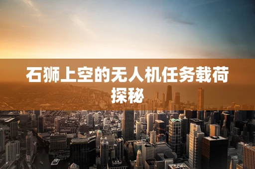 石狮上空的无人机任务载荷探秘