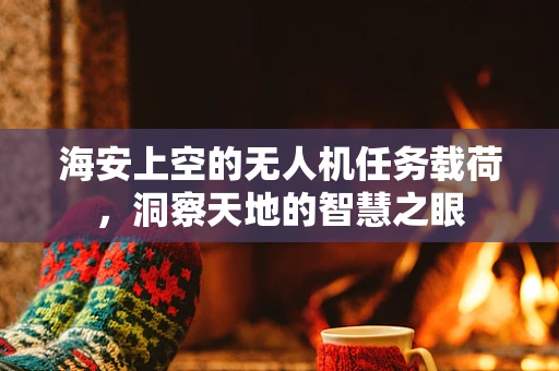 海安上空的无人机任务载荷，洞察天地的智慧之眼