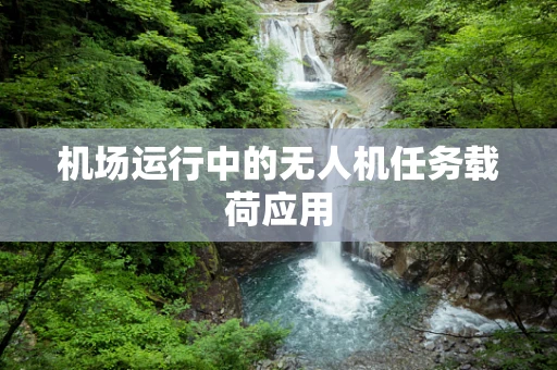机场运行中的无人机任务载荷应用