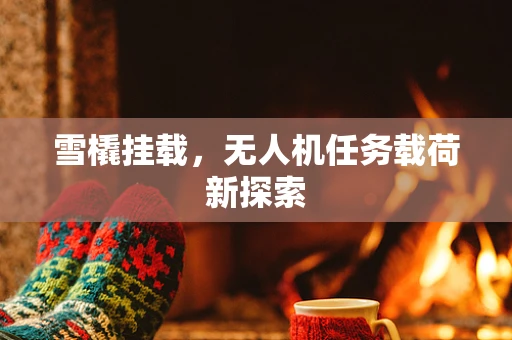 雪橇挂载，无人机任务载荷新探索