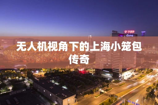 无人机视角下的上海小笼包传奇