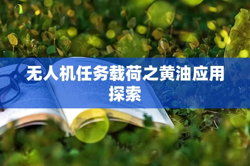 无人机任务载荷之黄油应用探索