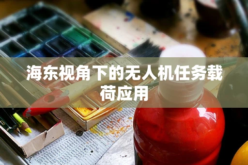 海东视角下的无人机任务载荷应用
