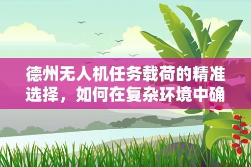 德州无人机任务载荷的精准选择，如何在复杂环境中确保数据采集的准确性？