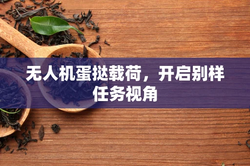 无人机蛋挞载荷，开启别样任务视角