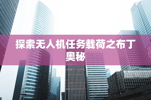 探索无人机任务载荷之布丁奥秘