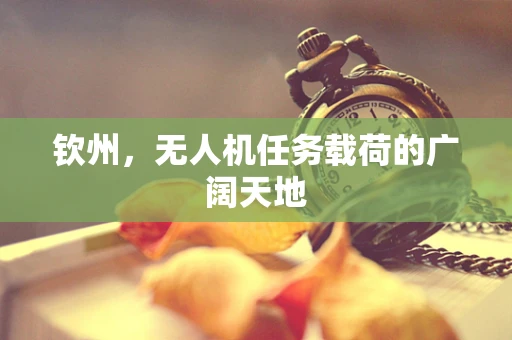 钦州，无人机任务载荷的广阔天地