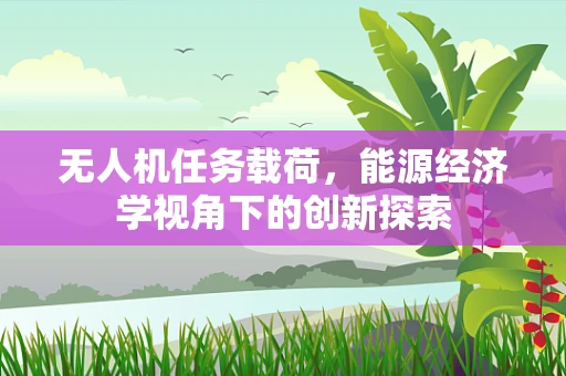 无人机任务载荷，能源经济学视角下的创新探索
