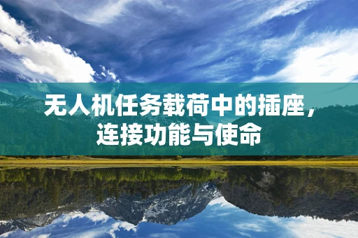无人机任务载荷中的插座，连接功能与使命