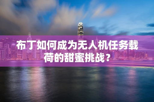 布丁如何成为无人机任务载荷的甜蜜挑战？