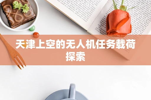 天津上空的无人机任务载荷探索