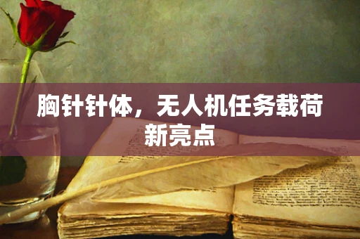 胸针针体，无人机任务载荷新亮点