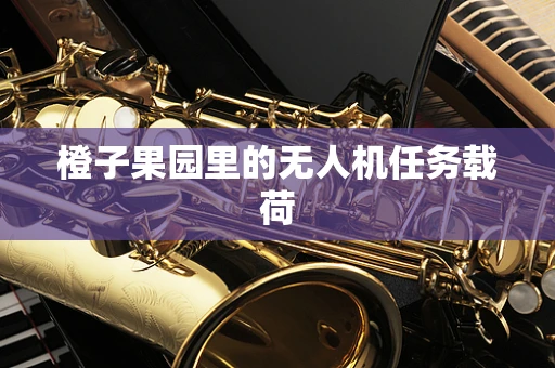 橙子果园里的无人机任务载荷