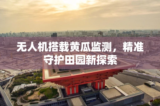 无人机搭载黄瓜监测，精准守护田园新探索
