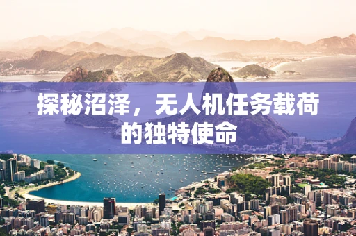 探秘沼泽，无人机任务载荷的独特使命