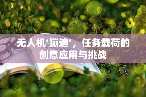 无人机‘蹦迪’，任务载荷的创意应用与挑战