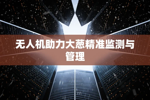 无人机助力大葱精准监测与管理