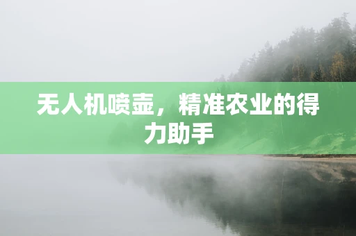 无人机喷壶，精准农业的得力助手
