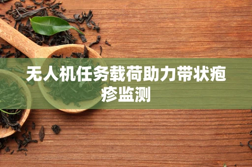 无人机任务载荷助力带状疱疹监测