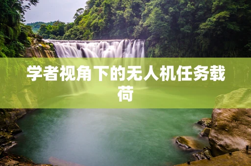 学者视角下的无人机任务载荷