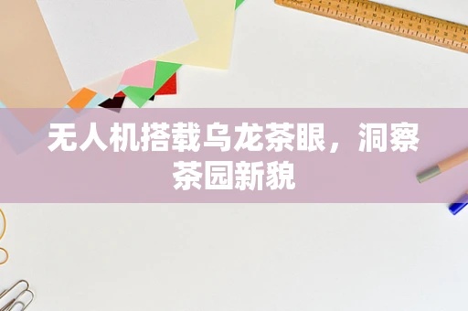 无人机搭载乌龙茶眼，洞察茶园新貌