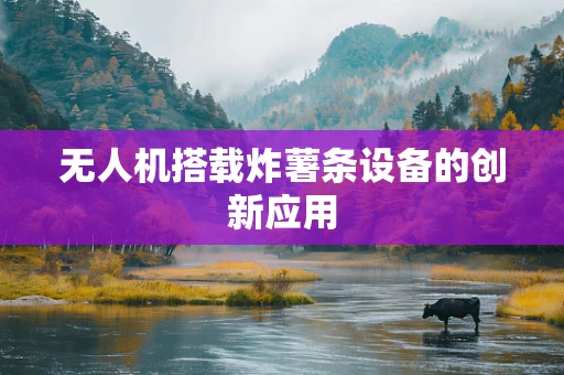 无人机搭载炸薯条设备的创新应用