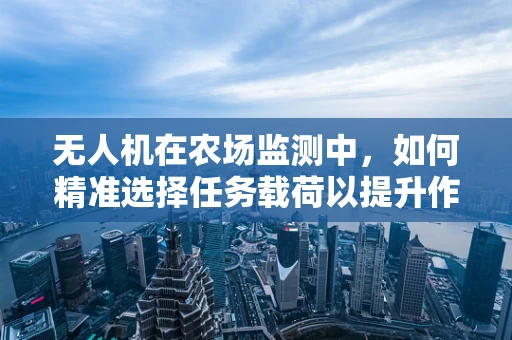 无人机在农场监测中，如何精准选择任务载荷以提升作物管理效率？