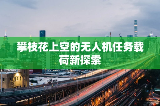 攀枝花上空的无人机任务载荷新探索