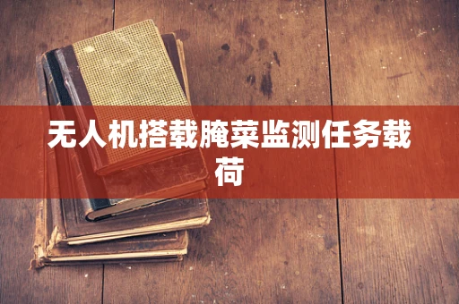 无人机搭载腌菜监测任务载荷