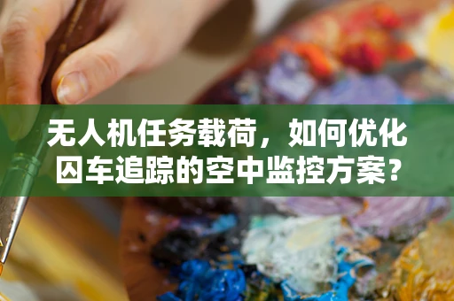 无人机任务载荷，如何优化囚车追踪的空中监控方案？