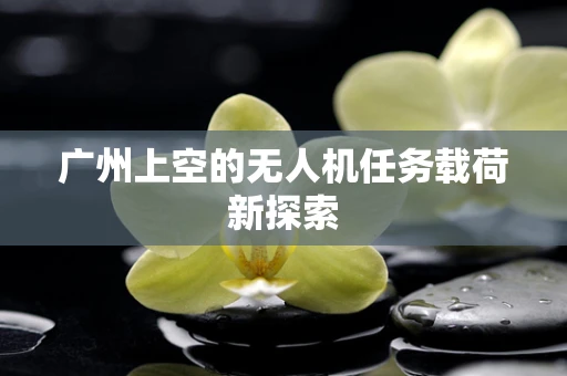 广州上空的无人机任务载荷新探索