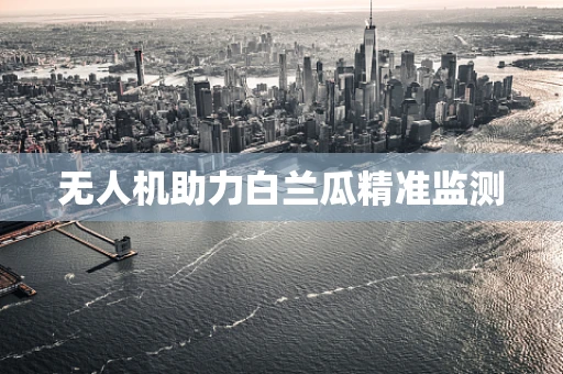 无人机助力白兰瓜精准监测