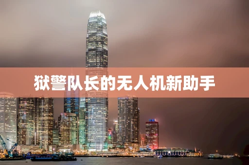 狱警队长的无人机新助手