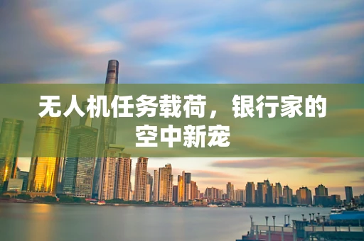 无人机任务载荷，银行家的空中新宠