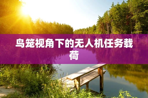 鸟笼视角下的无人机任务载荷