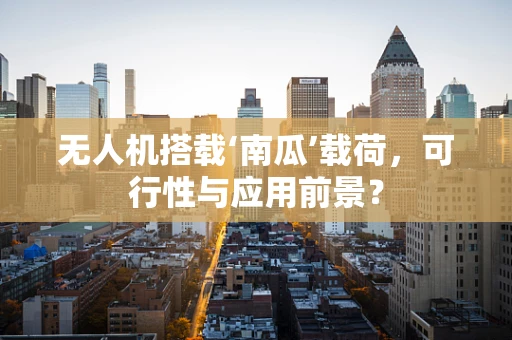 无人机搭载‘南瓜’载荷，可行性与应用前景？