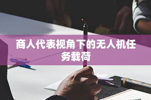 商人代表视角下的无人机任务载荷