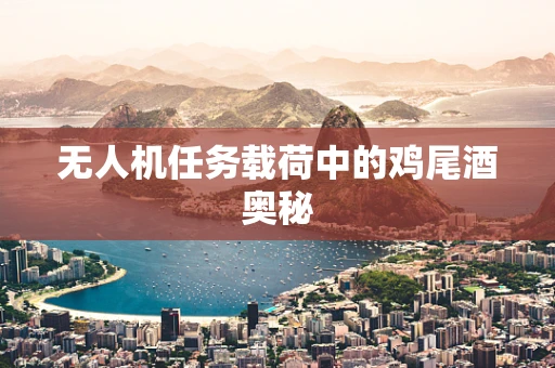 无人机任务载荷中的鸡尾酒奥秘